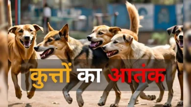 raipur dog bite case news