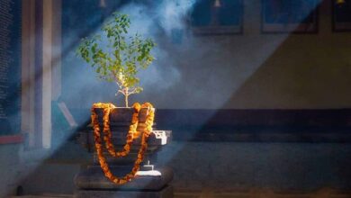 tulsi mata