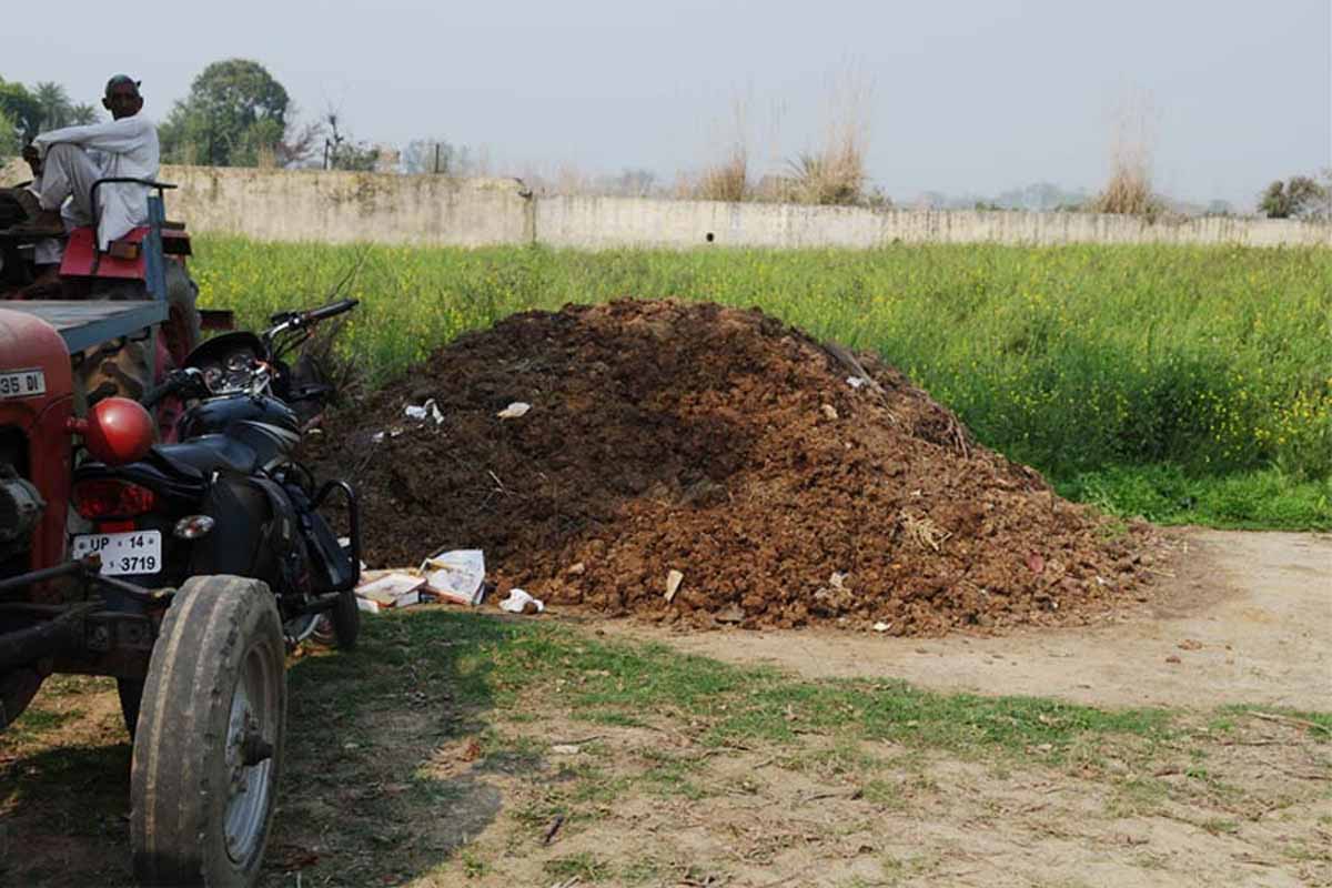 UP News: 'प्राकृतिक खेती को बढ़ावा देने होगा गाय के गोबर और मूत्र का इस्तेमाल' 1 Gobar