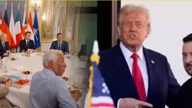 TRUMP UNITED EUROPE
