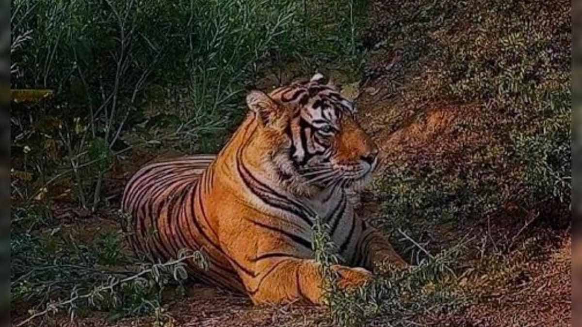 CG News: मनेंद्रगढ़ शहर में केवल एक ही कोरिया नीर जिंदा बाकि पड़े मुर्दा, इन मुर्दा पड़े कोरिया नीरो का कब होगा जीणोद्धार 1 CG News