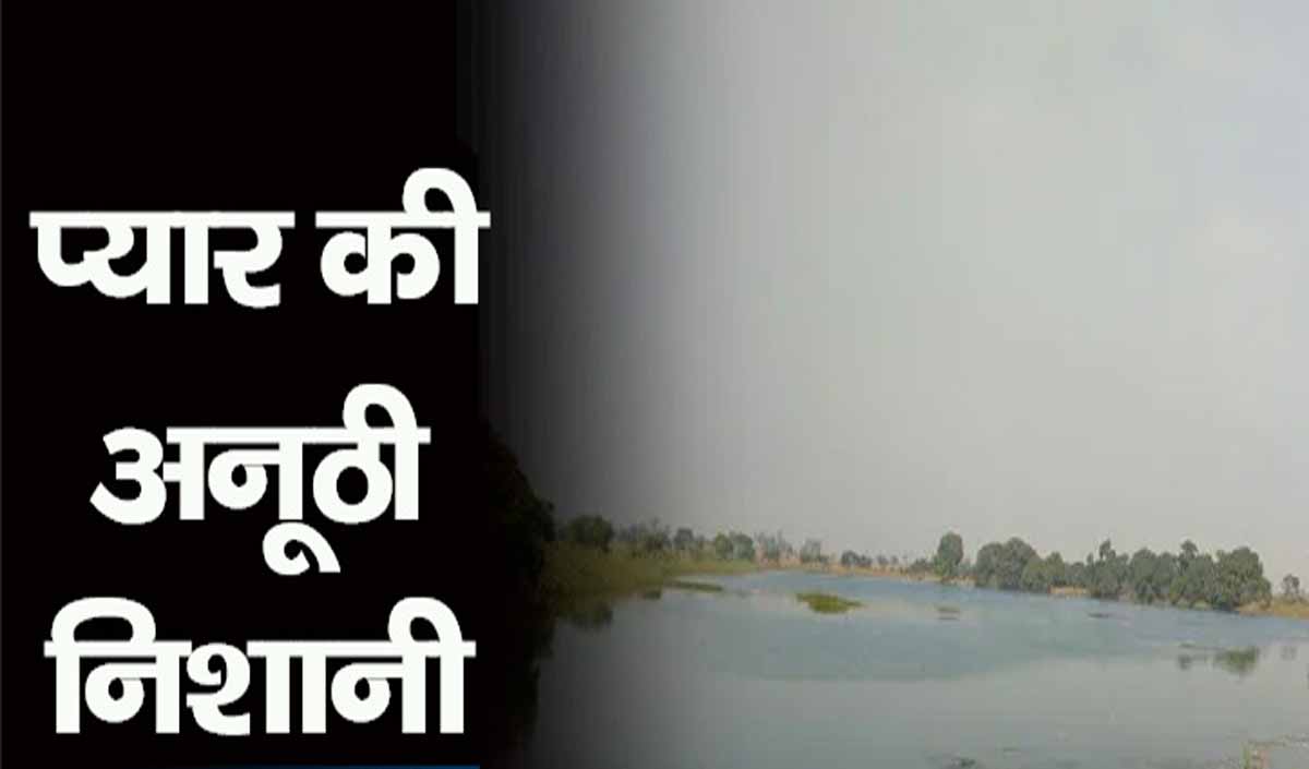 CG News: छत्तीसगढ़ में एक तालाब की कहानी, जिसका कभी नहीं सूखता पानी 1 CG POND NEWS NEAR TO DURG