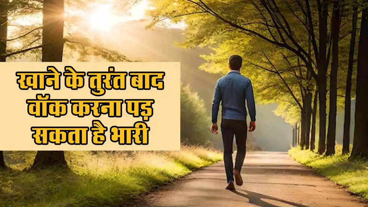 Health Tips: खाने के तुरंत बाद वॉक करना पड़ सकता है भारी, जानिए सेहत पर इसके असर, एक्सपर्ट्स ने बताया सटीक जवाब 1 Health Tips For Waking