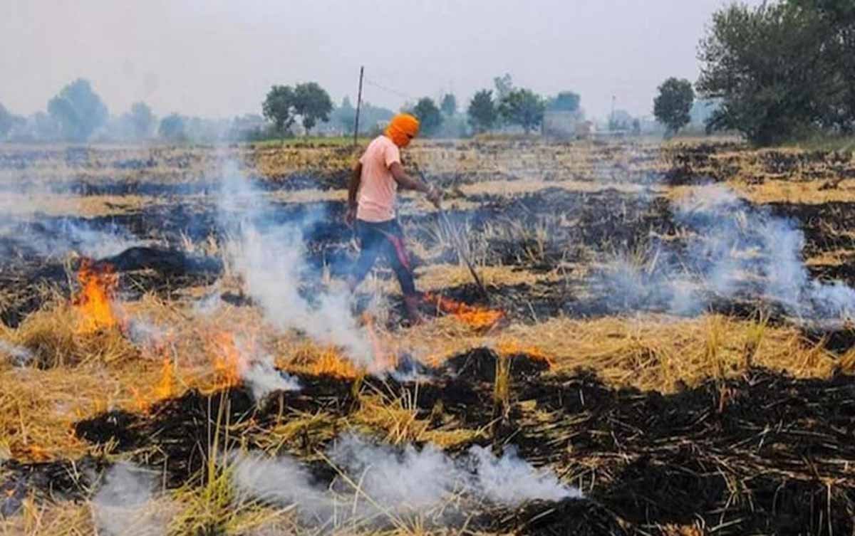 पराली नहीं जलाने वाले KISANO को प्रति एकड़ पर MP सरकार देगी 3 हजार रुपए 1 KISANO