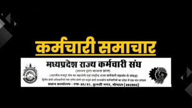 MP News