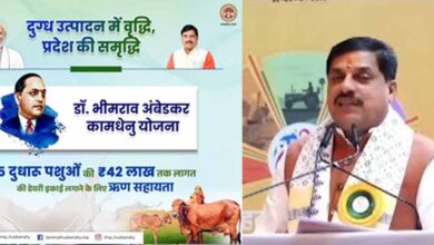 MP News Dr AMBEDKAR KAMDHENU SCHEME