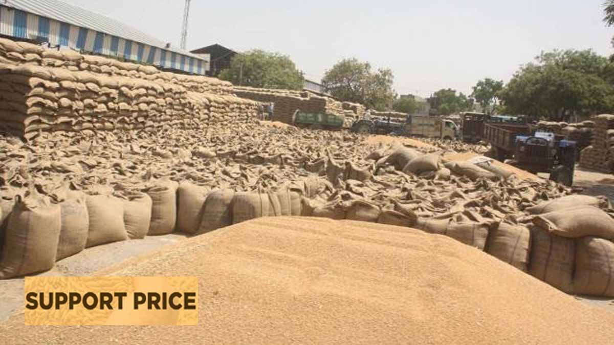 MP News: SUPPORT PRICE पर गेहूं खरीदने 15.33 लाख किसानों ने कराया REDGISTRATION 1 MP News SUPPORT PRICE REDGISTRATION