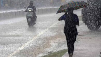 MP Weather News
