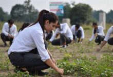 Agriculture