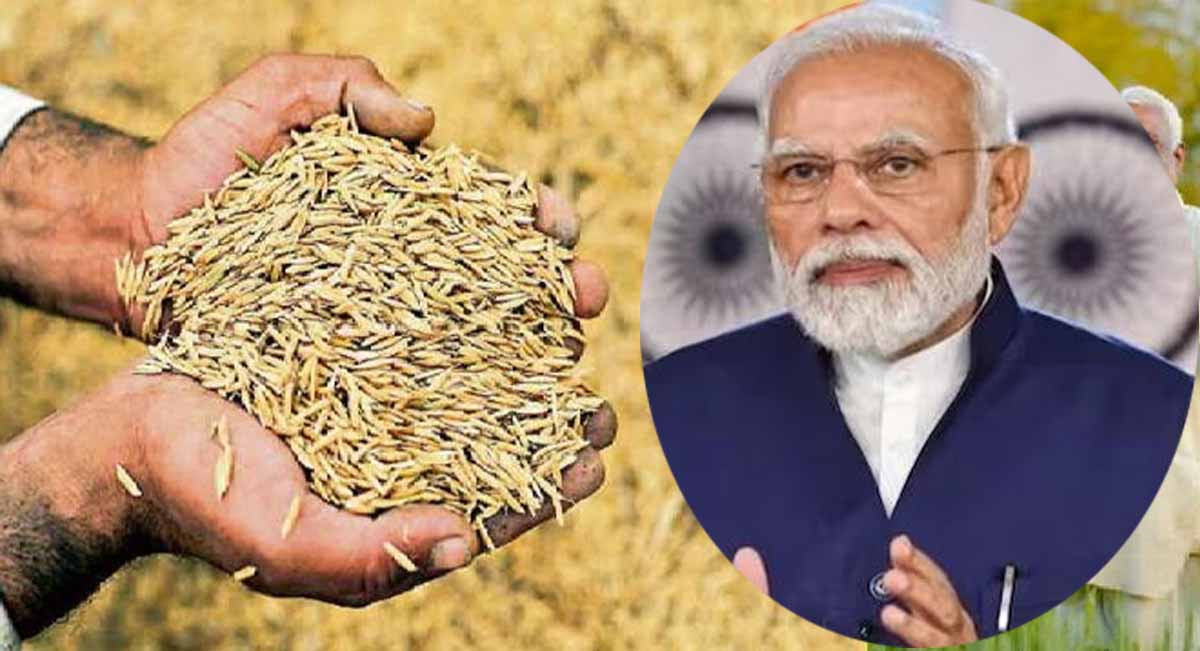MODI CABINET: खरीफ सीजन में धान पर 69 रुपए/क्विंटल बढ़ाई MSP 1 MODI CABINET MSP increased