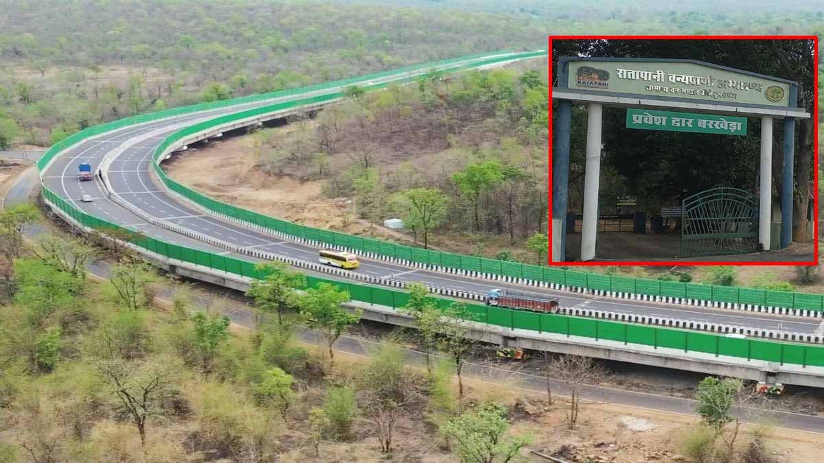MP NEWS: RATAPANI के वन्य जीवों को हादसों से बचाने बनाया SOUNDPROOF CORRIDOR 1 MP NEWS RATAPANI Sanctuary