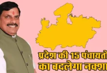 MP News