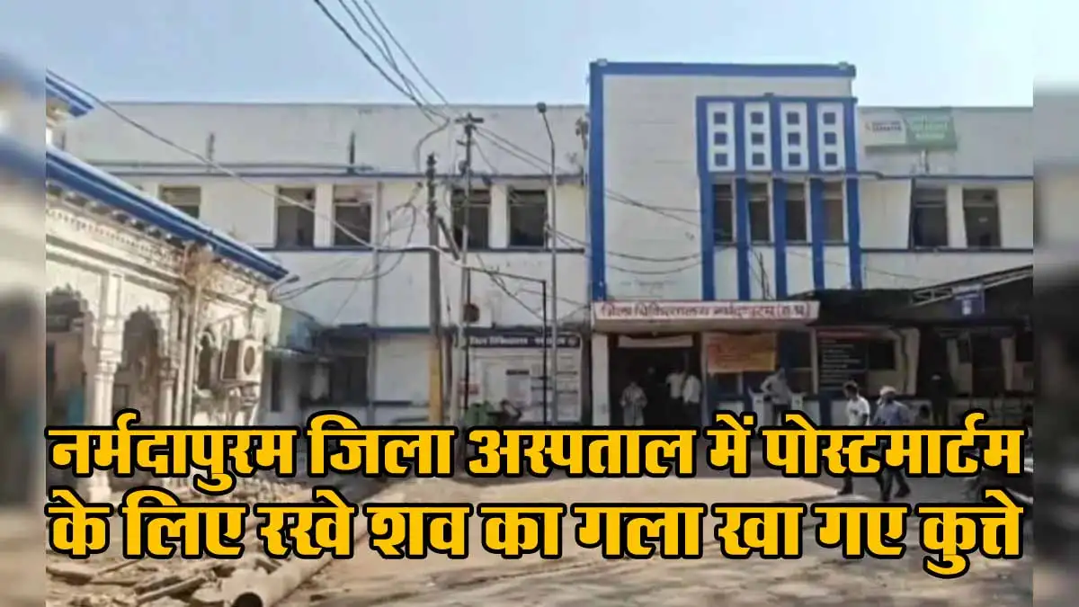 MP News: नर्मदापुरम जिला अस्पताल में पोस्टमार्टम के लिए रखे शव का गला खा गए कुत्ते 1 MP News Narmadapuram