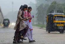MP Weather News
