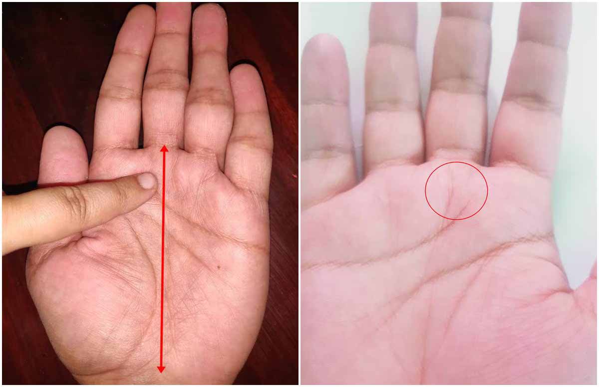 Palmistry: हथेली पर भाग्य रेखा चंद्र से निकले तो तेजी से चमकता है भाग्य 1 Palmistry