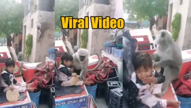 Viral Video