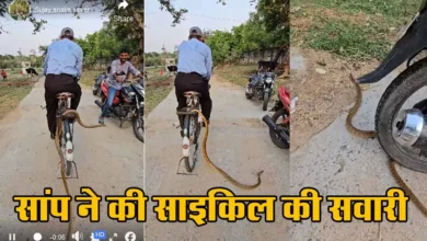 Viral Video In Snake ON cycle