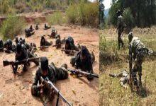 cg mh border naxal killed
