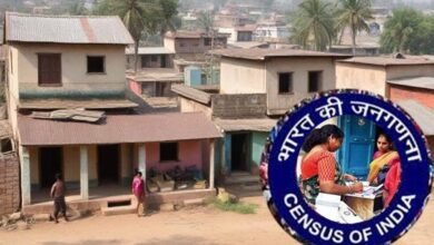 Census 8th Phase Information Collected