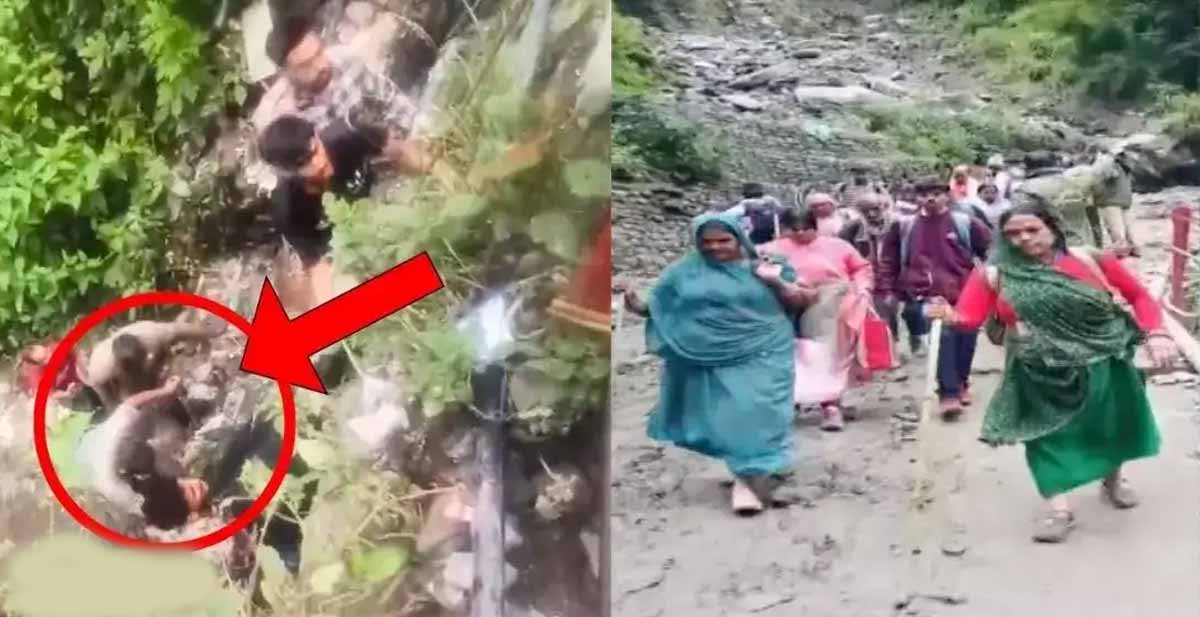 Char Dham Yatra Update: रुद्रप्रयाग में श्रद्धालुओं की बस खाई में गिरी, 2 की मौत और 8 को बचाया 1 Char Dham Yatra Update Rudraprayag Bus Fallen Char Dham Yatra Update: रुद्रप्रयाग में श्रद्धालुओं की बस खाई में गिरी, 2 की मौत और 8 को बचाया
