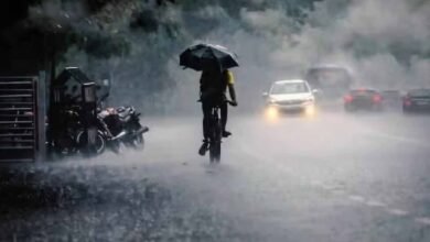 Heavy Rain in eastern states