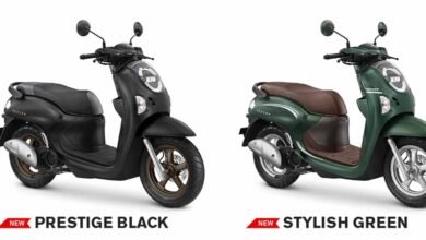 Honda Scoopy Cover
