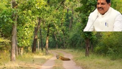 MP News CM MOHAN YADAV Forest Crimes Decrease