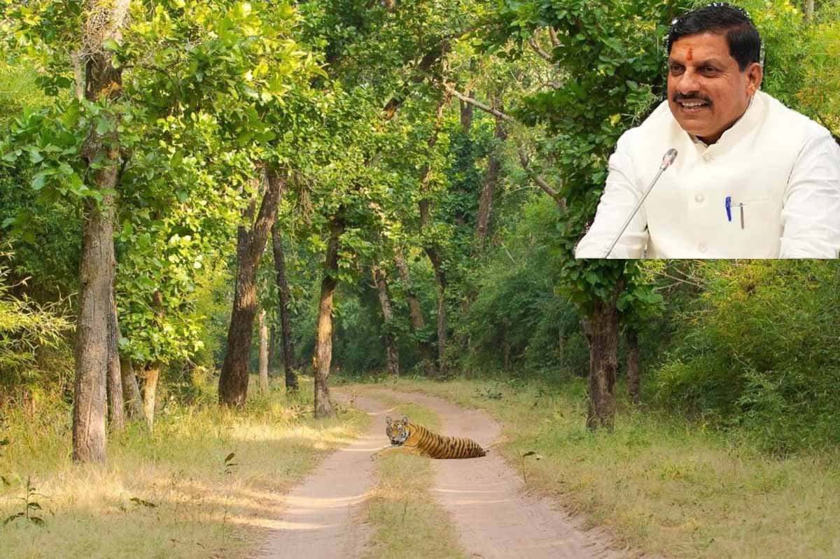 MP News: CM MOHAN YADAV बोले-Forest क्षेत्रों में अपराधों और अवैध कटाई में आई कमी 1 MP News CM MOHAN YADAV Forest Crimes Decrease