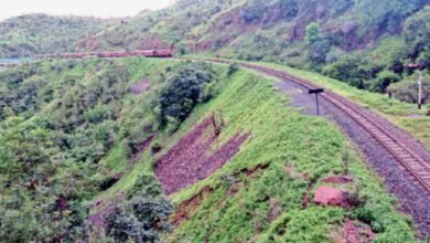 MP News Indore Trees Cut