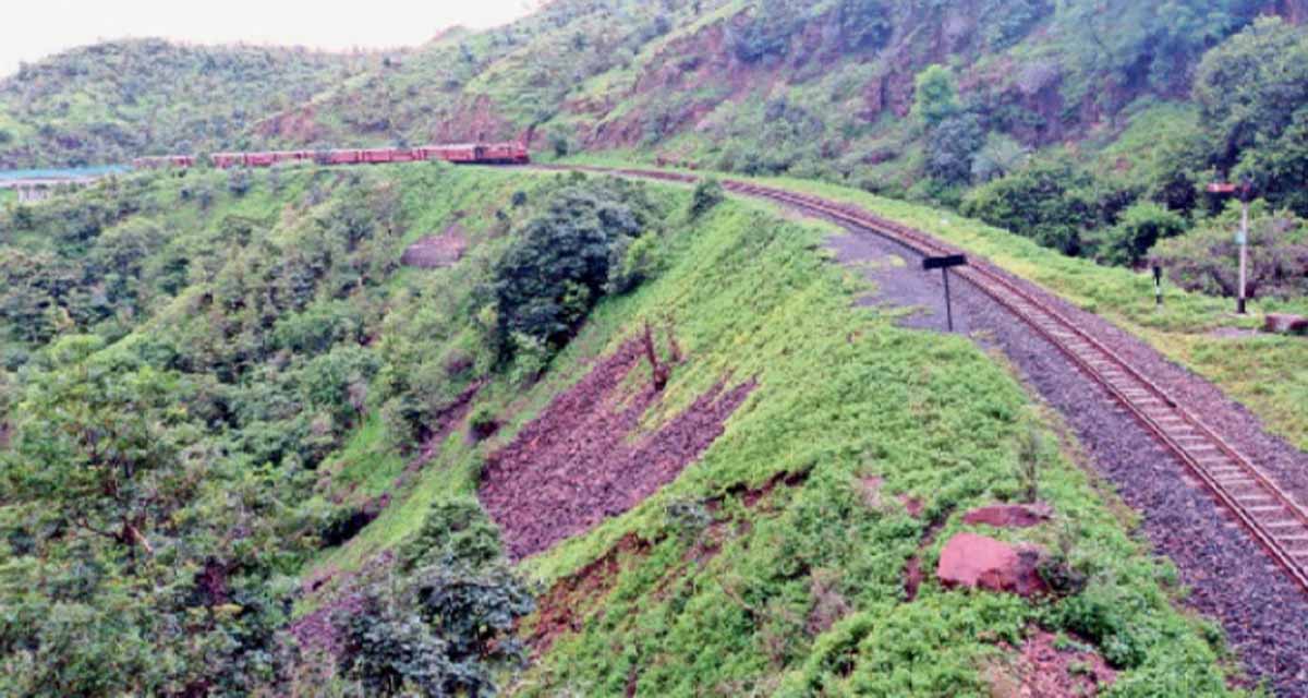 MP News: Indore में डेढ़ लाख पेड़ काटकर 15 लाख लगाएगा Railway 1 MP News Indore Trees Cut