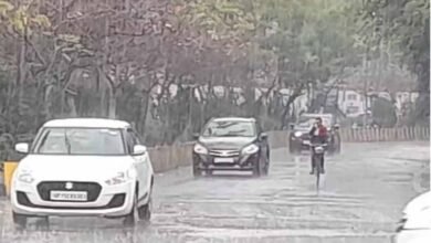 MP Weather Update Monsoon Reached