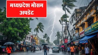 MP Weather