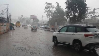 Rain Alert MP