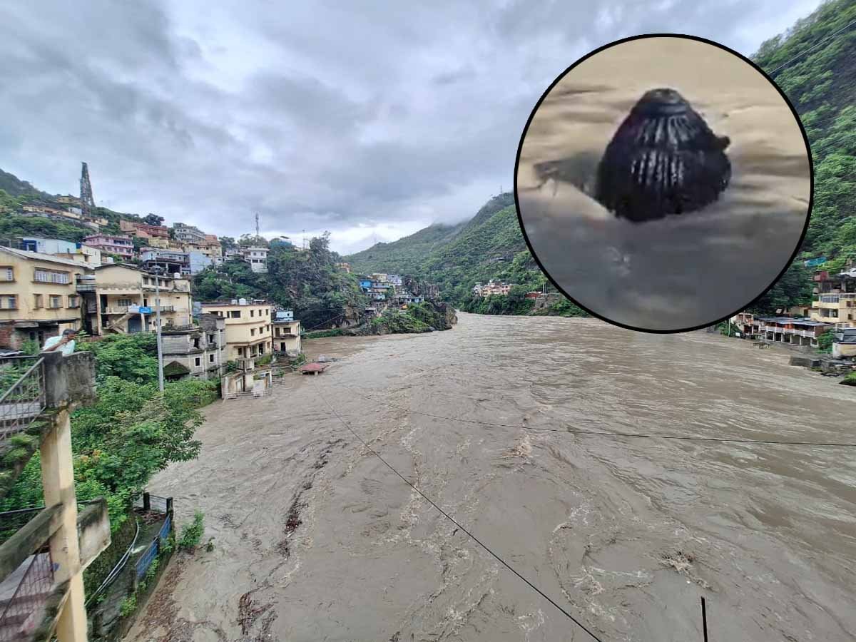 Uttarakhand Rains: रुद्रप्रयाग में 15 फीट ऊंची भगवान शिव की मूर्ति डूबी, मंदाकिनी-अलकनंदा नदी उफान पर, देखें Viral Video 1 Rudraprayag