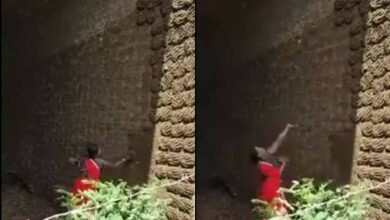 Viral video in uple