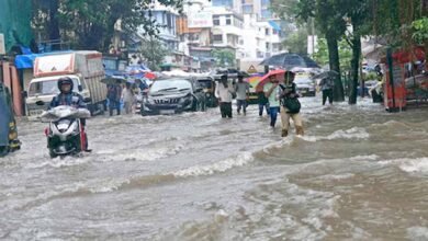 Weather News Heavy Rain Havoc