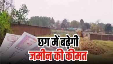 cg land price increases