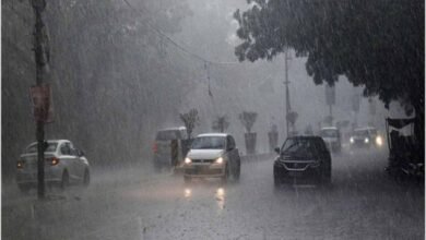 mp monsoon news