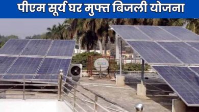 solar palnt subsidy news