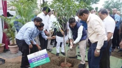 1 CG News: एक पेड़ माँ के नाम अभियान पर्यावरण संरक्षण का प्रतीक - मंत्री केदार कश्यप