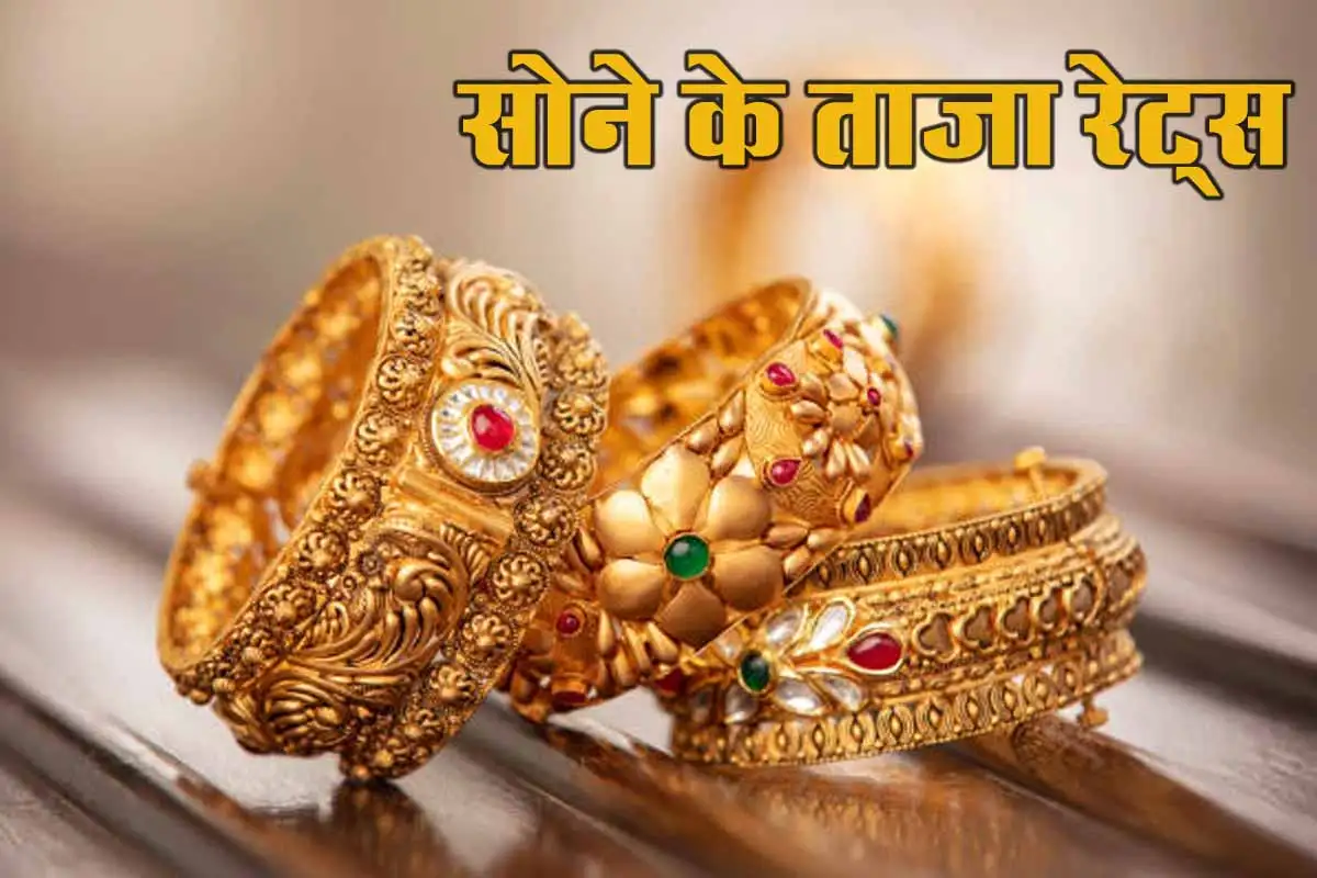 Gold Price Today: फिर टूटा सोना, अपने शहर में कितना है रेट? तुरंत चेक करें 1 Gold Price Today