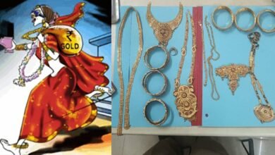 Jabalpur News Love Marriage Daughter InLaw Cash Theft Jewellery Heist