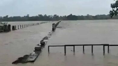 MP News Vindhya Floods Mahakaushal Rains