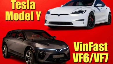 Tesla-VinFast Entry