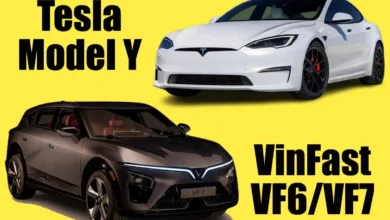 Tesla-VinFast Entry