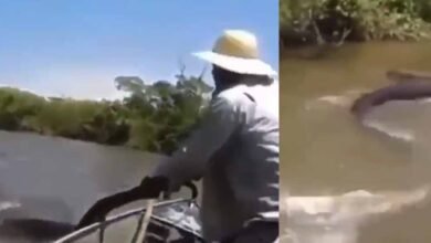 Viral Video In anakonda