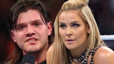 WWE News