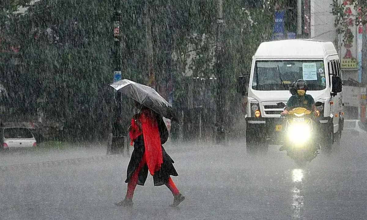 CG Monsoon: जिले में रिकार्ड बारिश दर्ज, सर्वाधिक वर्षा पिथौरा तहसील में 416.0 मिलीमीटर 1 mahasamund rainfall record