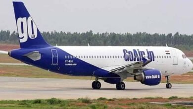 patna flight bird collides delhi